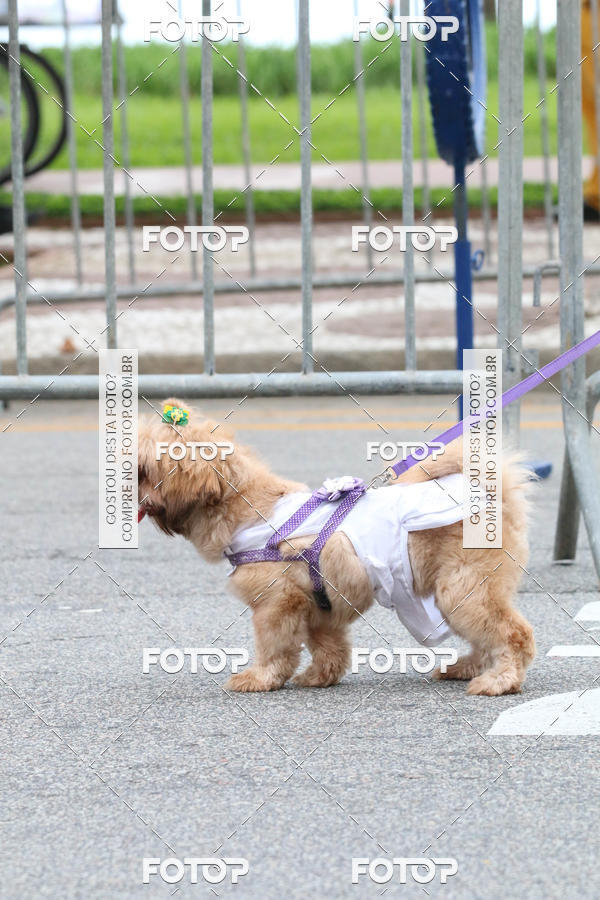 Buy your photos of the event13� C�ominhada - Santos on Fotop