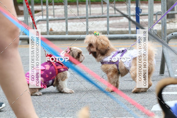 Buy your photos of the event13� C�ominhada - Santos on Fotop