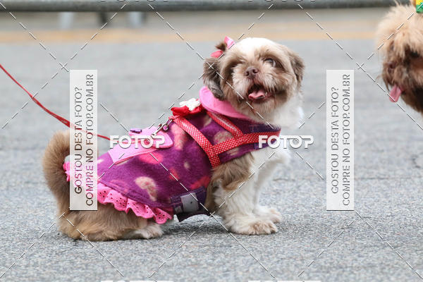 Buy your photos of the event13� C�ominhada - Santos on Fotop