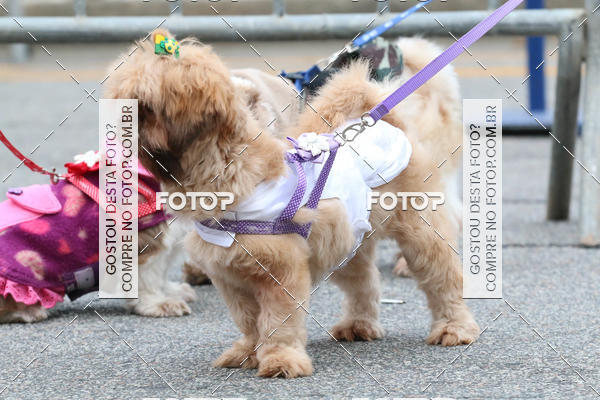 Buy your photos of the event13� C�ominhada - Santos on Fotop