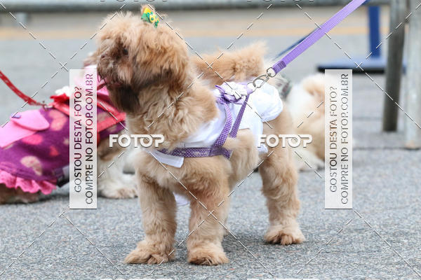 Buy your photos of the event13� C�ominhada - Santos on Fotop