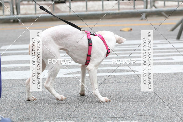 Buy your photos of the event13� C�ominhada - Santos on Fotop