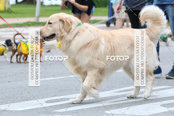 Buy your photos of the event13� C�ominhada - Santos on Fotop