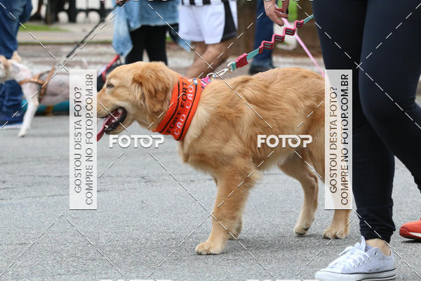 Buy your photos of the event13� C�ominhada - Santos on Fotop