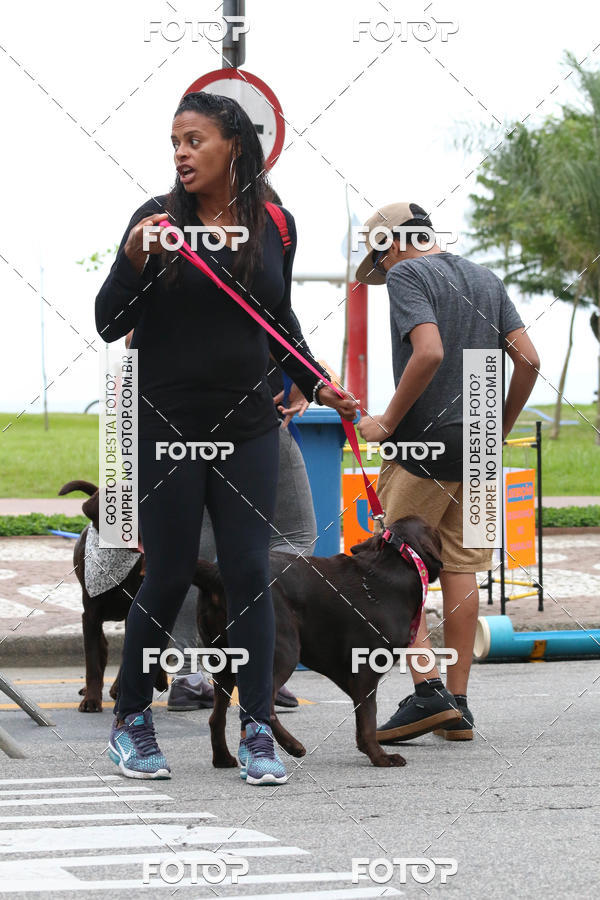 Buy your photos of the event13� C�ominhada - Santos on Fotop