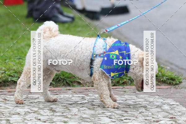 Buy your photos of the event13� C�ominhada - Santos on Fotop