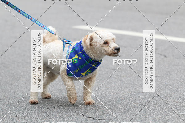 Buy your photos of the event13� C�ominhada - Santos on Fotop