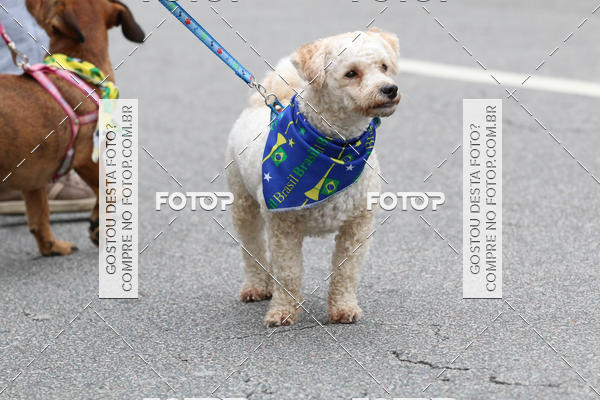 Buy your photos of the event13� C�ominhada - Santos on Fotop