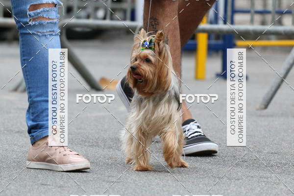 Buy your photos of the event13� C�ominhada - Santos on Fotop