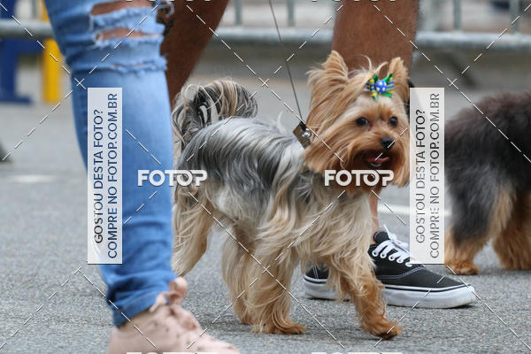 Buy your photos of the event13� C�ominhada - Santos on Fotop