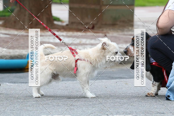 Buy your photos of the event13� C�ominhada - Santos on Fotop