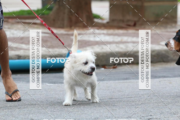 Buy your photos of the event13� C�ominhada - Santos on Fotop