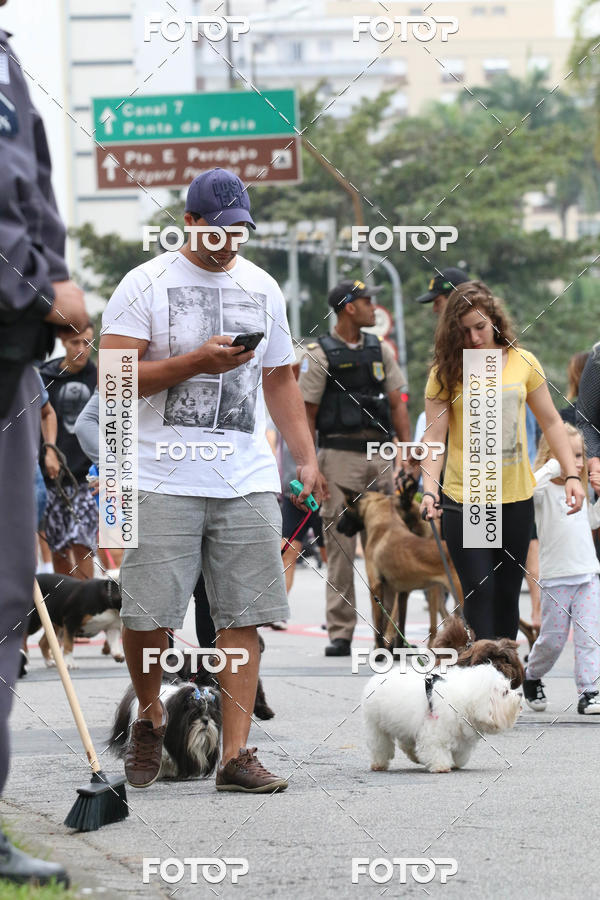 Buy your photos of the event13� C�ominhada - Santos on Fotop