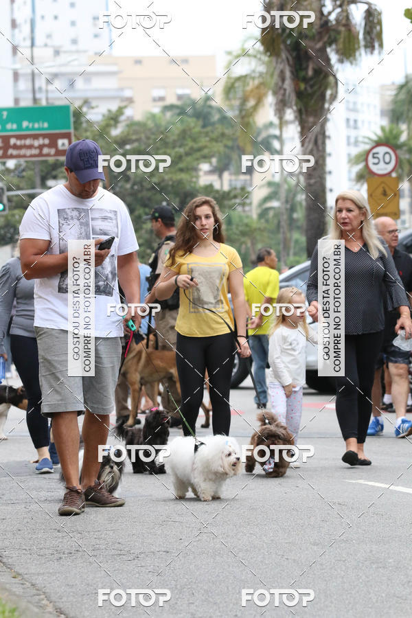 Buy your photos of the event13� C�ominhada - Santos on Fotop