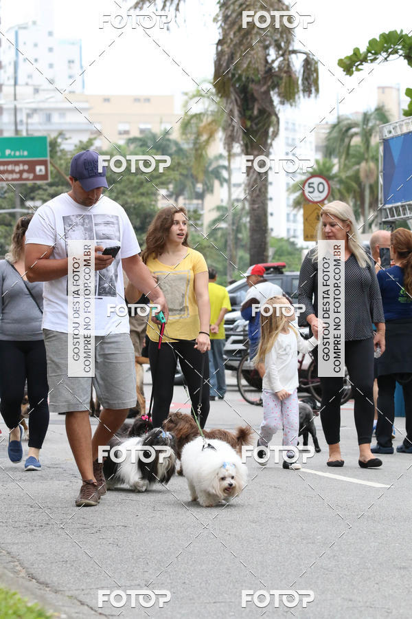 Buy your photos of the event13� C�ominhada - Santos on Fotop