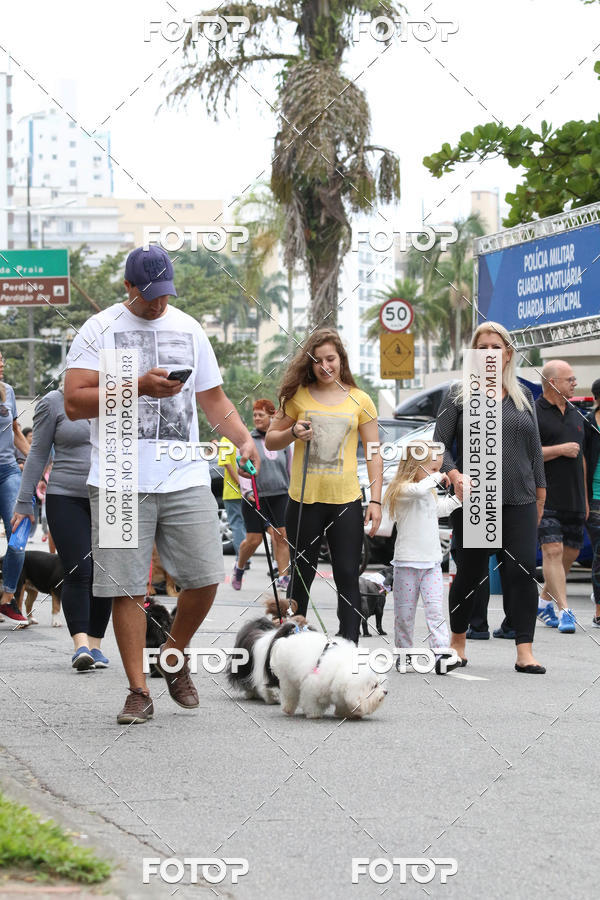 Buy your photos of the event13� C�ominhada - Santos on Fotop