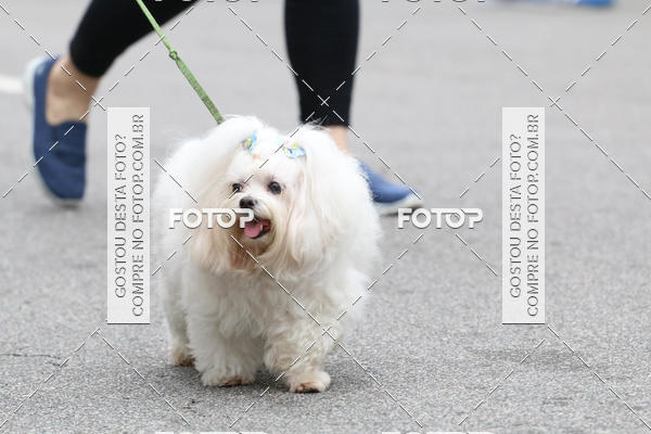 Buy your photos of the event13� C�ominhada - Santos on Fotop