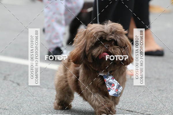 Buy your photos of the event13� C�ominhada - Santos on Fotop