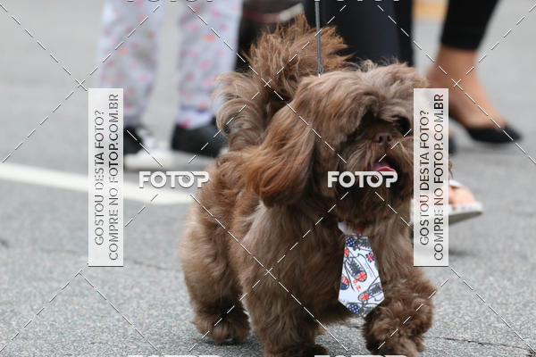 Buy your photos of the event13� C�ominhada - Santos on Fotop