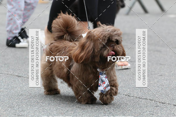 Buy your photos of the event13� C�ominhada - Santos on Fotop