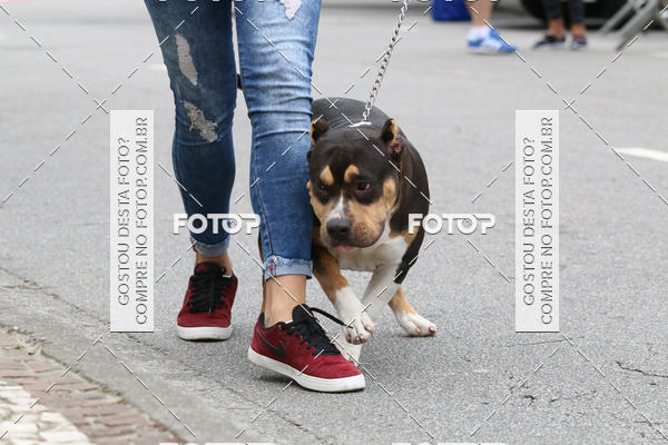 Buy your photos of the event13� C�ominhada - Santos on Fotop