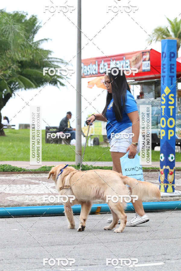 Buy your photos of the event13� C�ominhada - Santos on Fotop