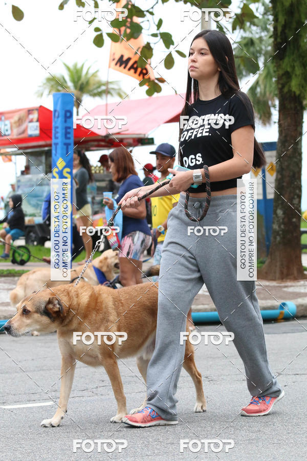 Buy your photos of the event13� C�ominhada - Santos on Fotop