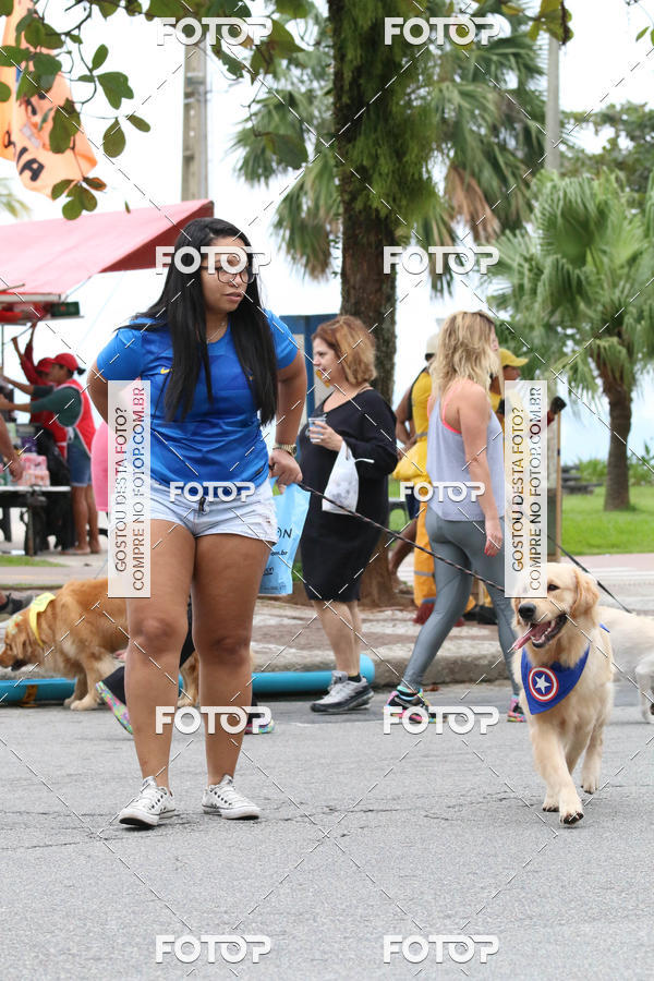 Buy your photos of the event13� C�ominhada - Santos on Fotop