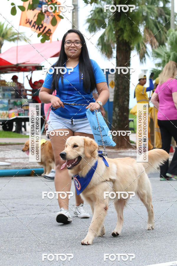 Buy your photos of the event13� C�ominhada - Santos on Fotop