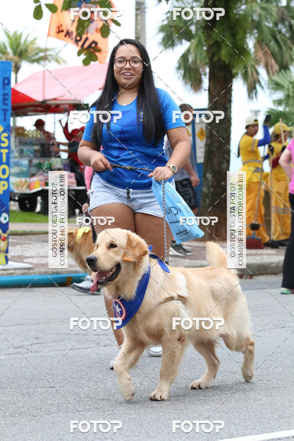 Buy your photos of the event13� C�ominhada - Santos on Fotop