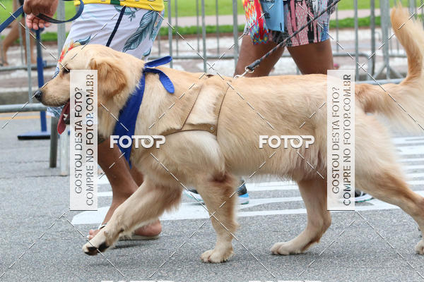 Buy your photos of the event13� C�ominhada - Santos on Fotop