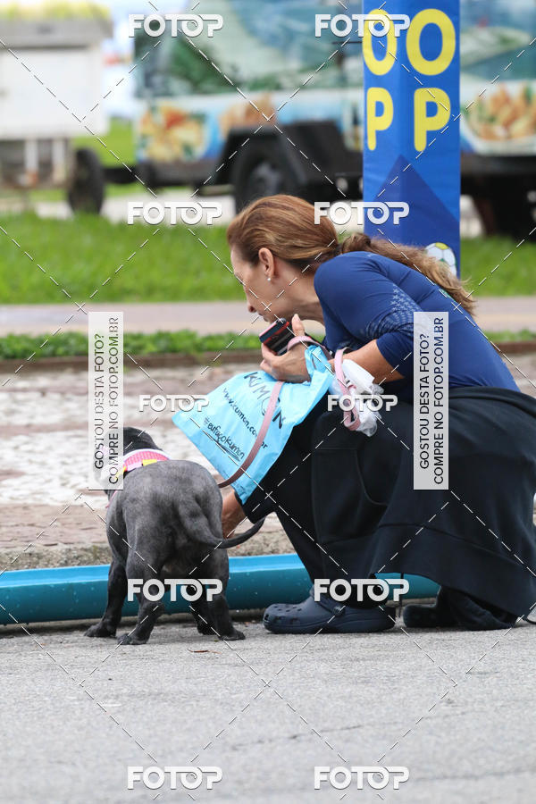 Buy your photos of the event13� C�ominhada - Santos on Fotop