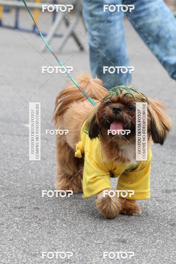 Buy your photos of the event13� C�ominhada - Santos on Fotop