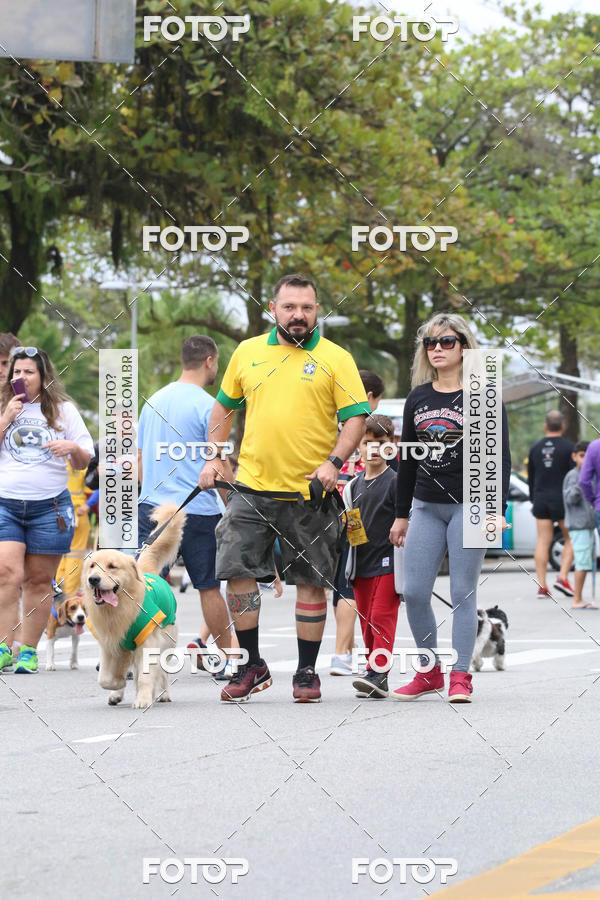 Buy your photos of the event13� C�ominhada - Santos on Fotop