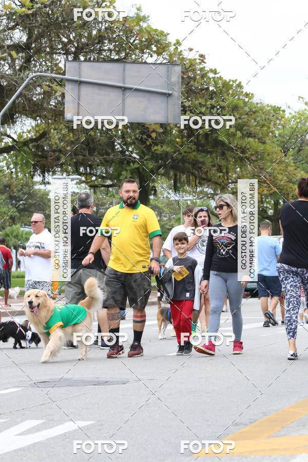 Buy your photos of the event13� C�ominhada - Santos on Fotop