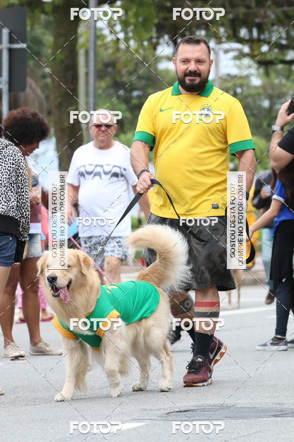 Buy your photos of the event13� C�ominhada - Santos on Fotop