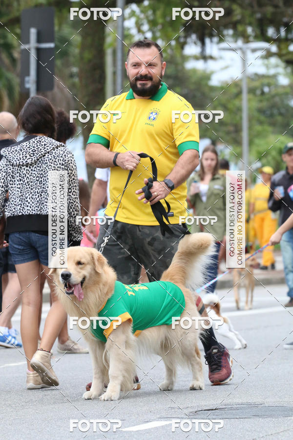 Buy your photos of the event13� C�ominhada - Santos on Fotop