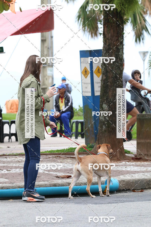 Buy your photos of the event13� C�ominhada - Santos on Fotop