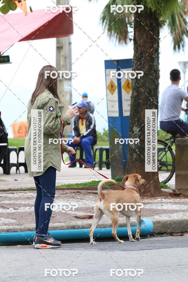 Buy your photos of the event13� C�ominhada - Santos on Fotop