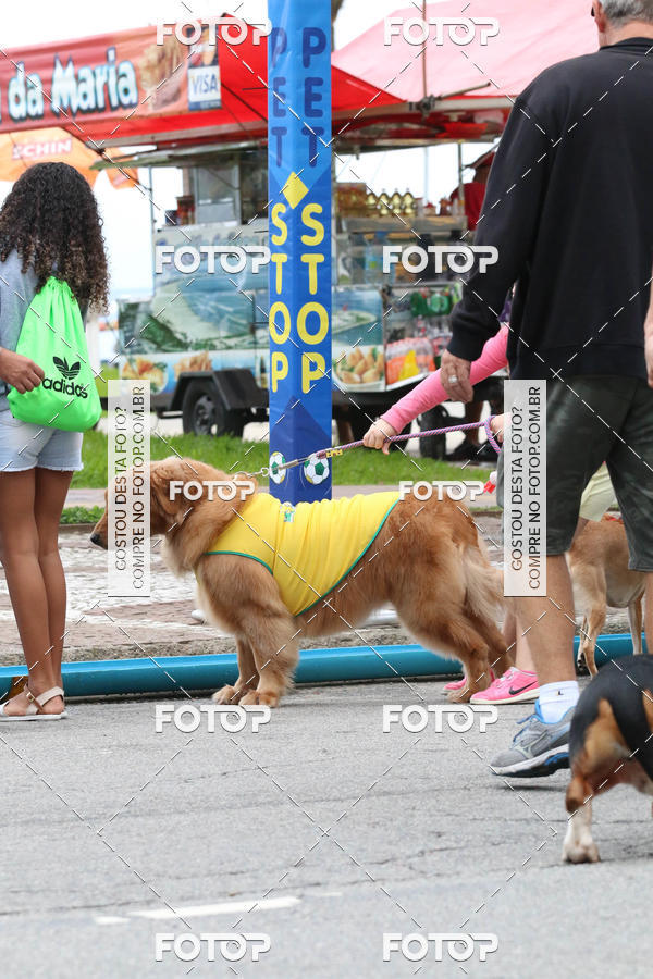 Buy your photos of the event13� C�ominhada - Santos on Fotop