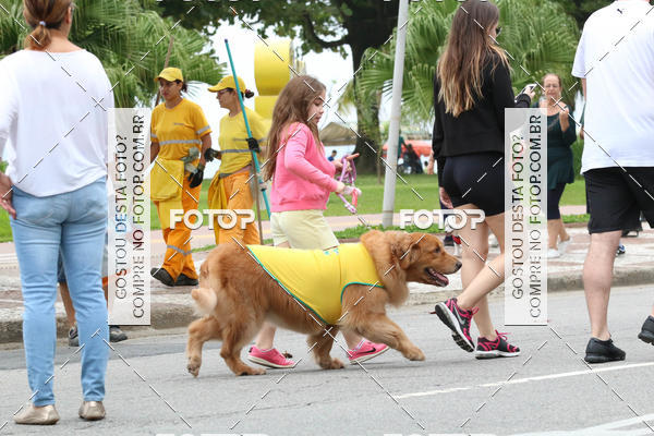 Buy your photos of the event13� C�ominhada - Santos on Fotop