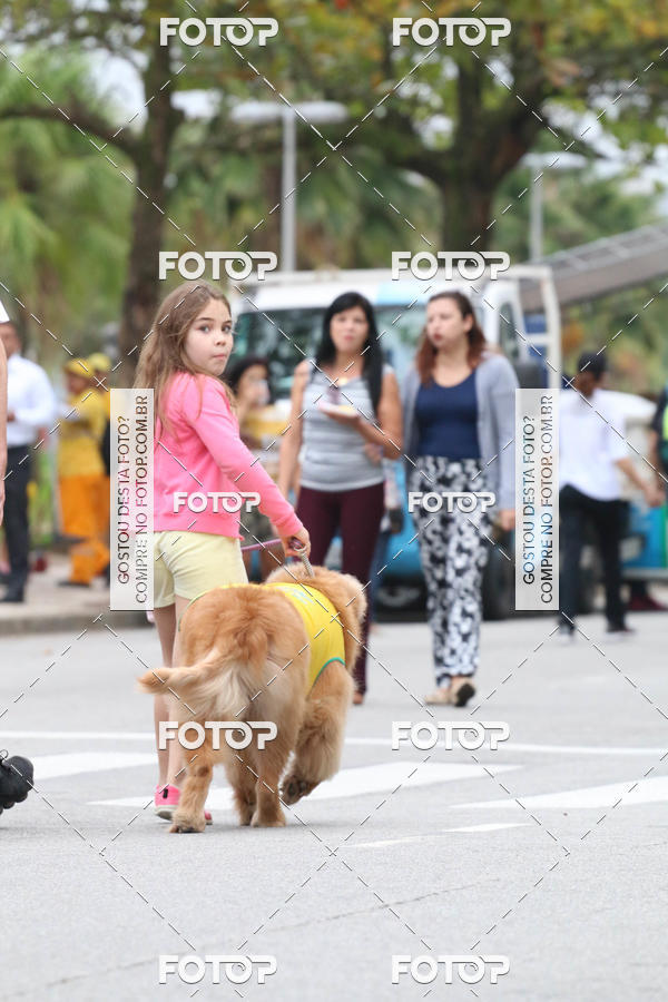 Buy your photos of the event13� C�ominhada - Santos on Fotop