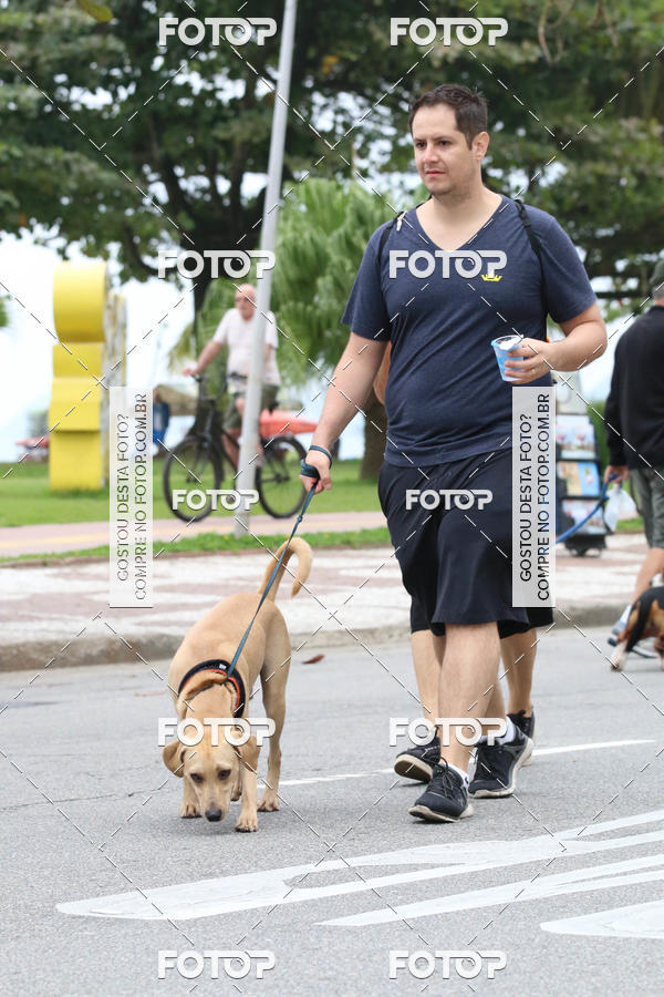 Buy your photos of the event13� C�ominhada - Santos on Fotop