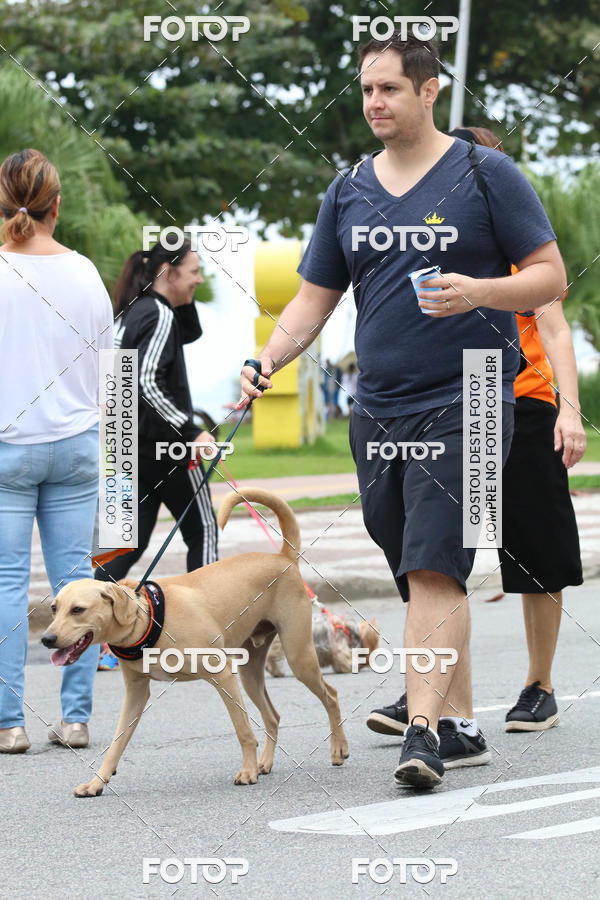 Buy your photos of the event13� C�ominhada - Santos on Fotop