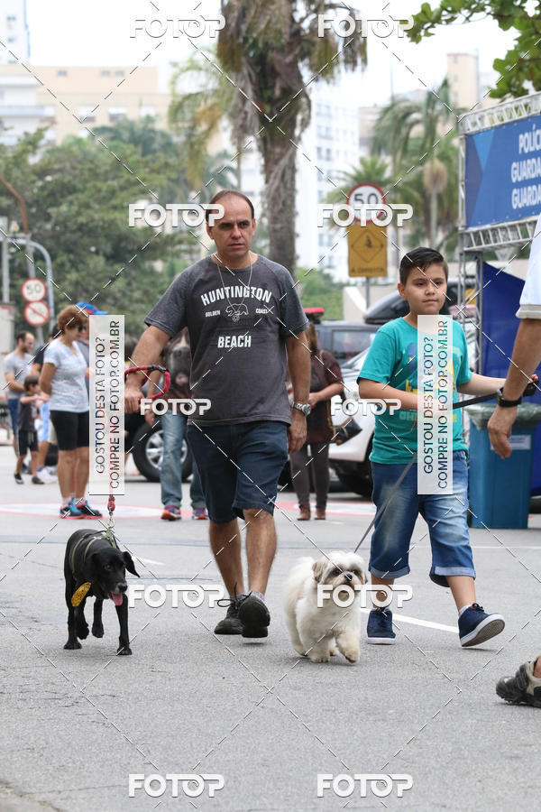 Buy your photos of the event13� C�ominhada - Santos on Fotop