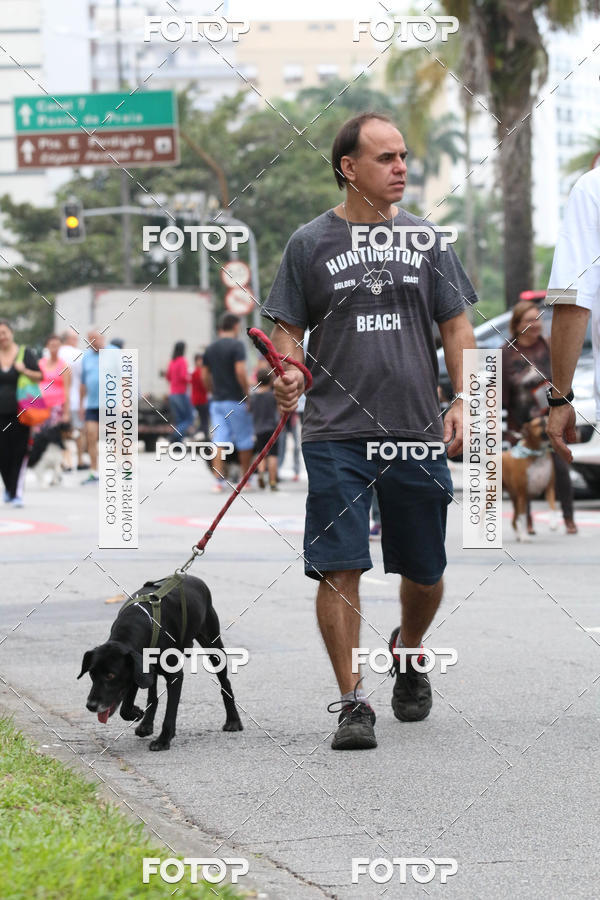 Buy your photos of the event13� C�ominhada - Santos on Fotop