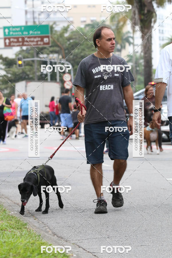 Buy your photos of the event13� C�ominhada - Santos on Fotop