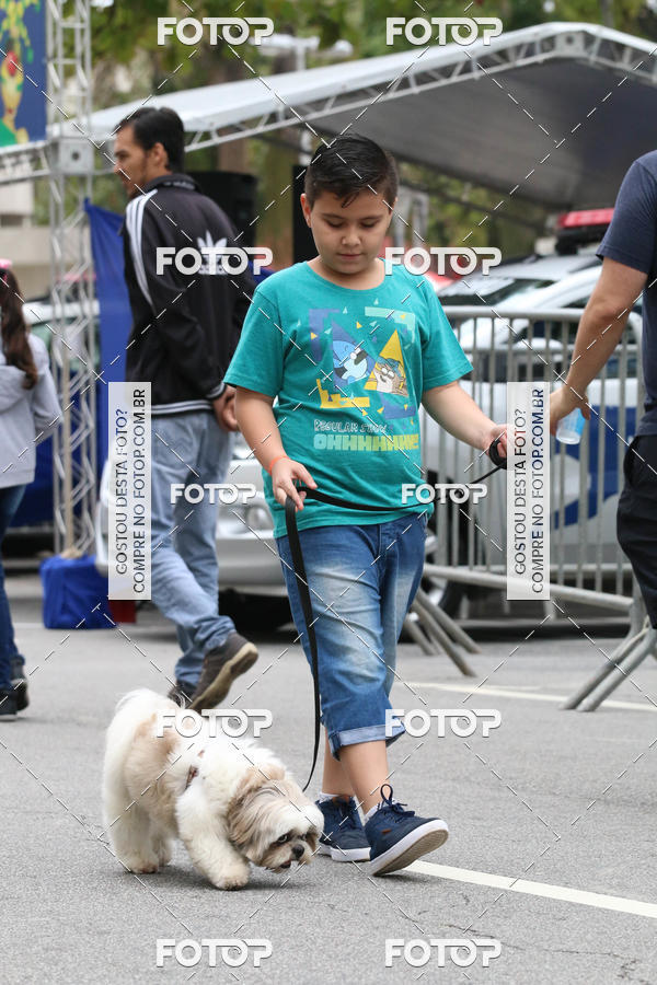 Buy your photos of the event13� C�ominhada - Santos on Fotop