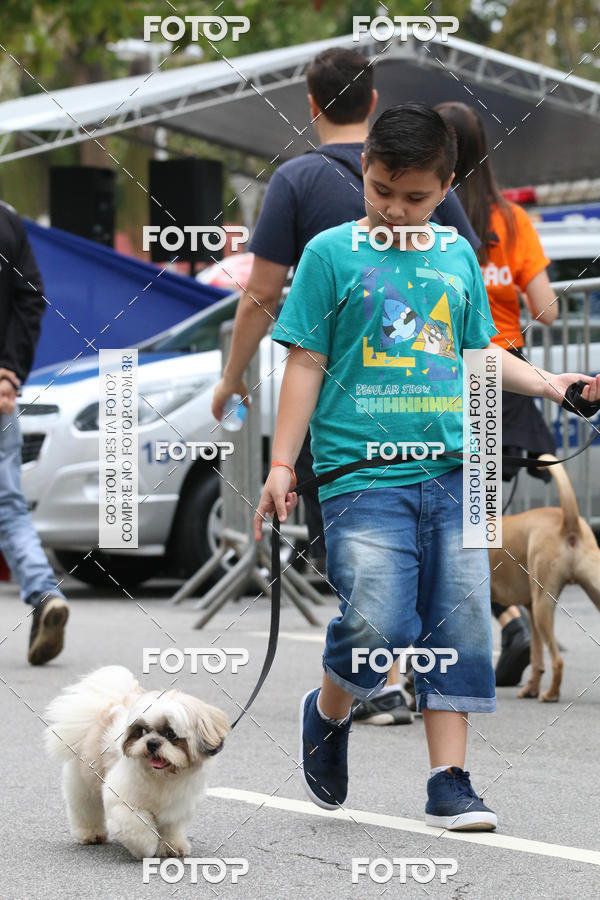 Buy your photos of the event13� C�ominhada - Santos on Fotop