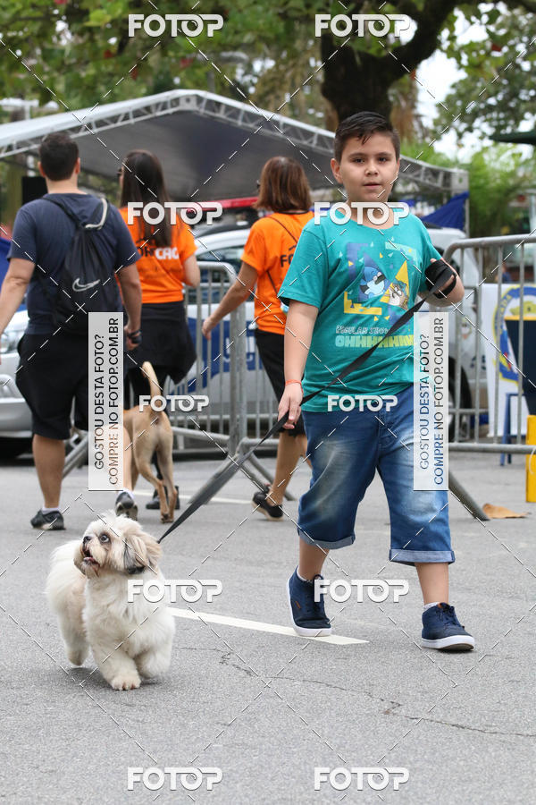 Buy your photos of the event13� C�ominhada - Santos on Fotop